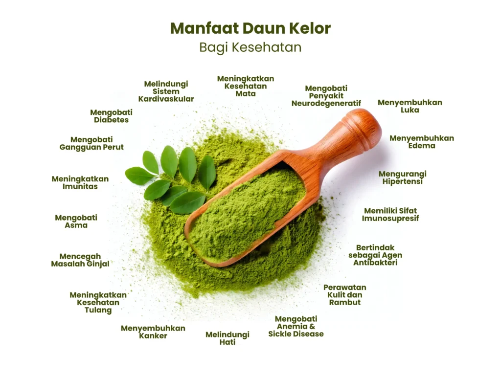 Manfaat Daun Kelor