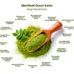 Manfaat Daun Kelor