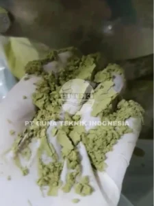 Output Daun Kelor